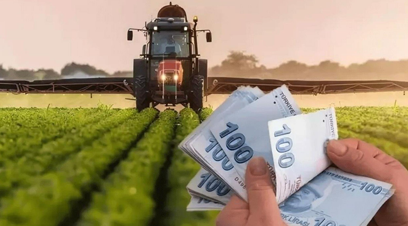 ciftcilerin yeni gozdesi o urun oldu MpJNWzH4