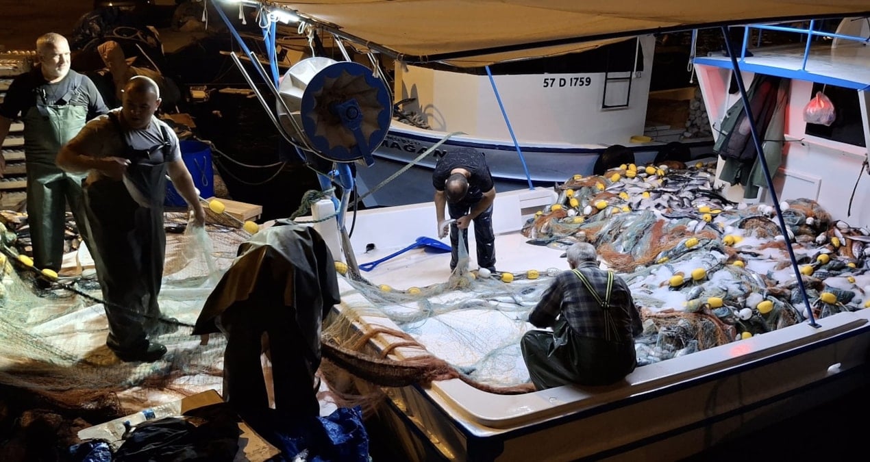 denize acilan balikcilar bir gecede milyoner oldu hzr5Ag1p