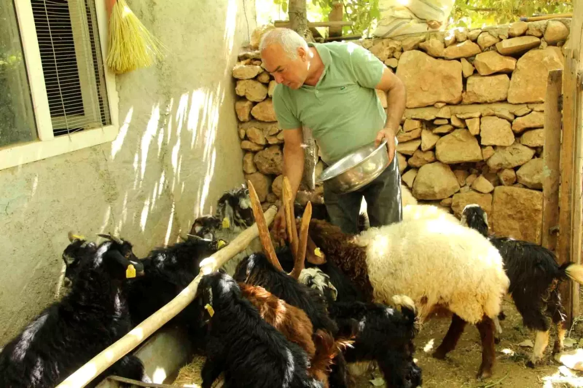 eski hukumlu tahir keskin is kur destegiyle 200 keci surusune ulasti rNsTtQhI.jpg