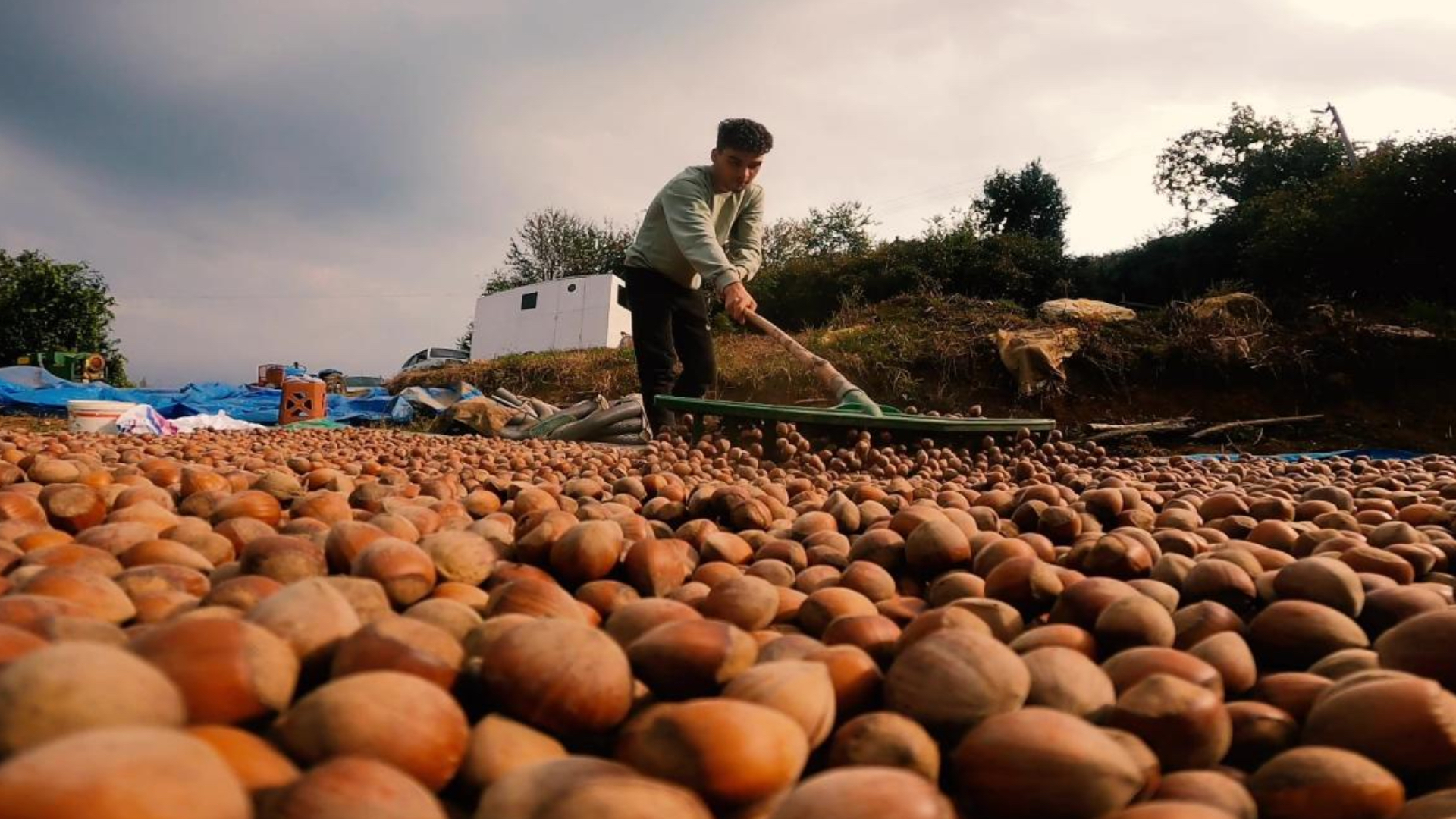 turkiye findik ihracatindan 9 ayda 16 milyar dolari askin gelir sagladi MqC6j5D2.jpg