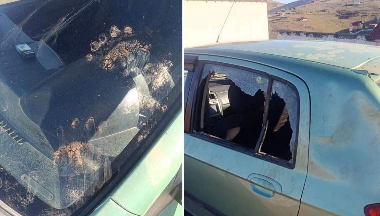 gumushanede ayi otomobile saldirisi GCLvKl8s.jpg