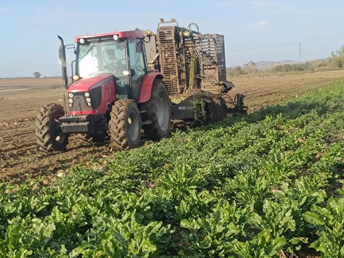 kesanda pancar hasadi devam ediyor 5vrQ6Ckl.jpg