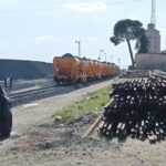 Şanlıurfa’da Yasaklı Bölgede Hayvan Otlatan Kadın Çoban Mayın Patlamasında Yaralandı